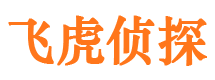 精河外遇调查取证